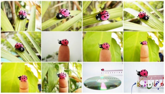 Micro lady bug