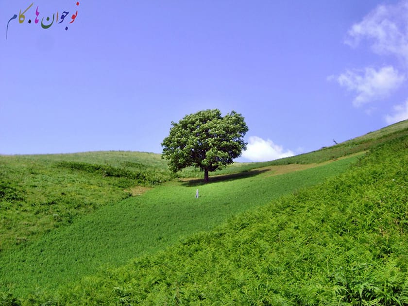 چهارفصل در روستای تخت مینو دشت