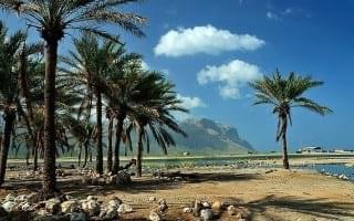 Socotra.nojavanha (34)