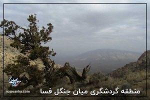 منطقه گردشگری میان جنگل فسا