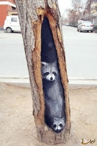 Painting on tree trunks.nojavanha (1)