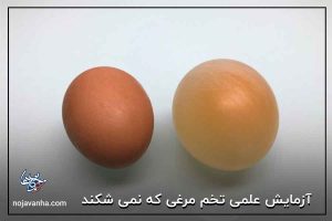 آزمایش علمی تخم مرغی که نمی شکند