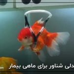 صندلی شناور برای ماهی بیمار