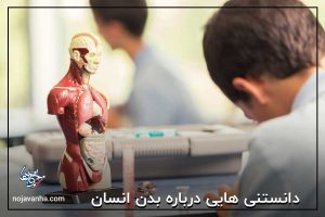 دانستنی هایی درباره بدن انسان!