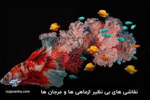 نقاشی های بی نظیر ازماهی ها و مرجان ها