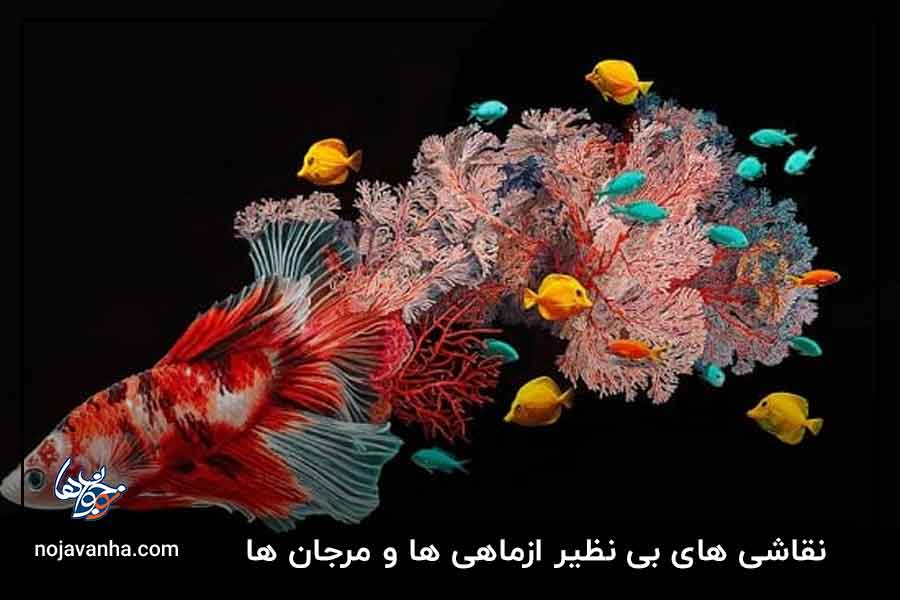 نقاشی های بی نظیر ازماهی ها و مرجان ها