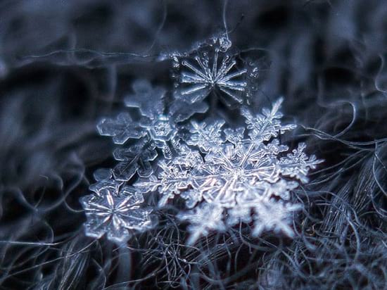 عکاسی از دانه های برف