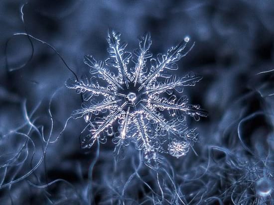 عکاسی از دانه های برف