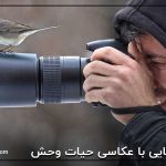 آشنایی با عکاسی حیات وحش