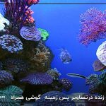 آکواریوم زنده در تصاویر پس زمینه گوشی همراه