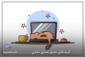 گربه هاي عاشق فضاي مجازي