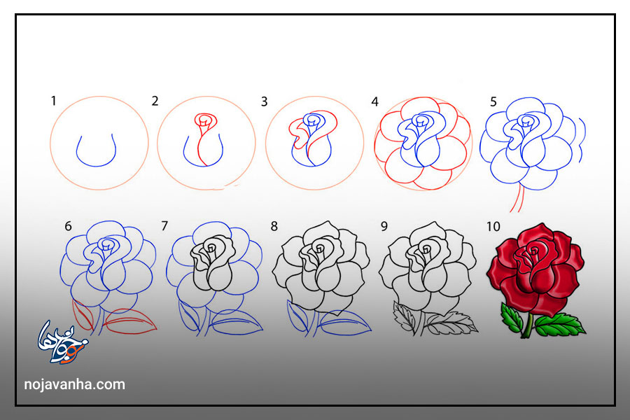 نقاشی گل رز زیبا و ساده مرحله به مرحله