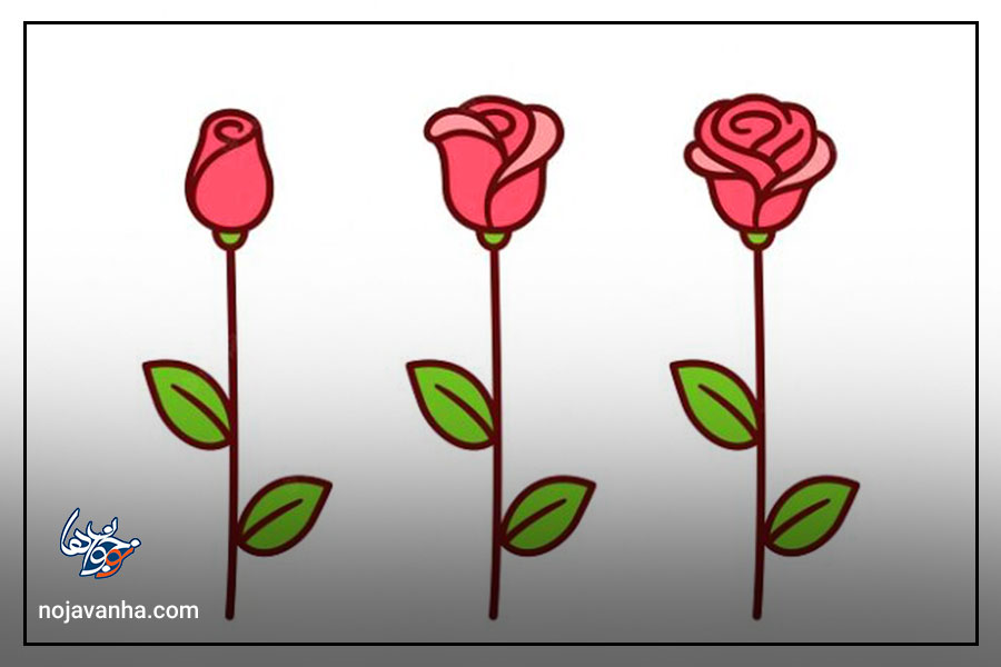 t آموزش نقاشی گل رز ساده و مرحله به مرحله