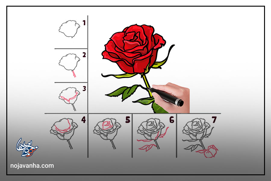 آموزش نقاشی گل رز قرمز مرحله به مرحله