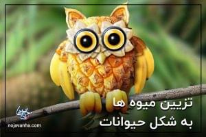 تزیین میوه ها به شکل حیوانات