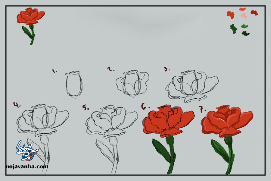 آموزش نقاشی گل رز ساده و مرحله به مرحله