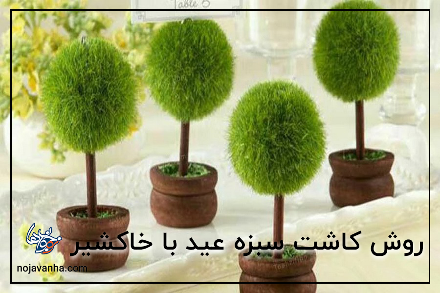 کاشت سبزه عید با خاکشیر