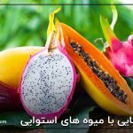 آشنایی با میوه های استوایی