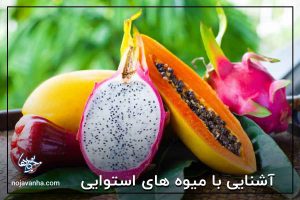 آشنایی با میوه های استوایی